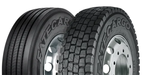 Neumáticos para vehículos de transporte